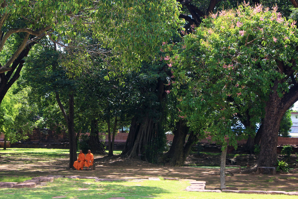 Sanctuary Phi Mai